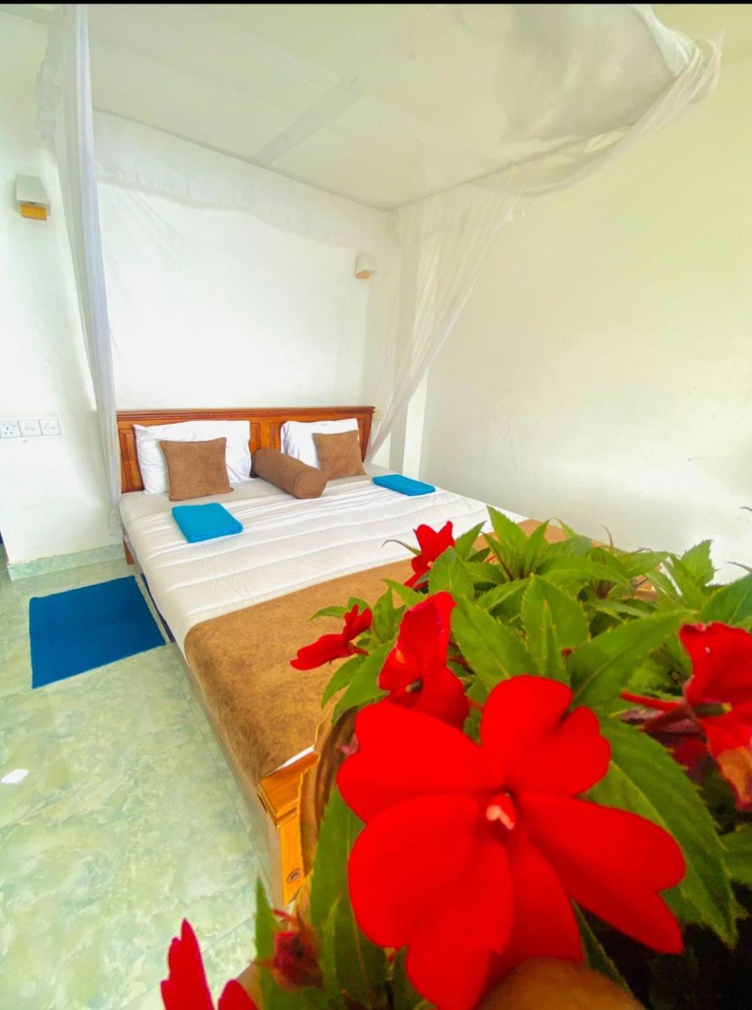 Hotel Two Rock Vista Ella Zewnętrze zdjęcie